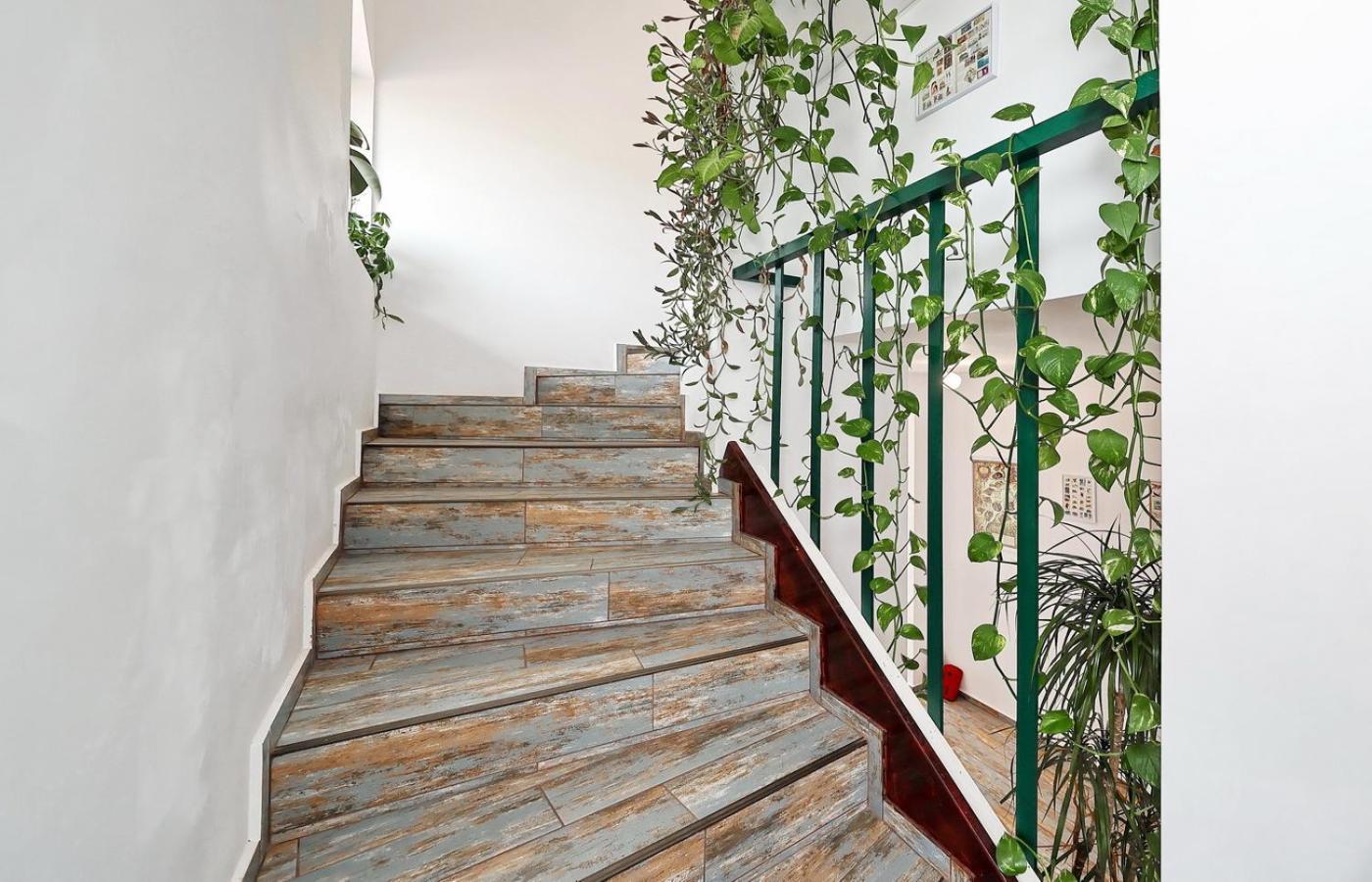 Vila Sol Prejmer المظهر الخارجي الصورة